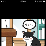학교에서 ㅌ바를 틴트