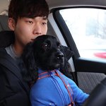 [댓글부탁해] 외국 <b>힐링</b>영화 추천