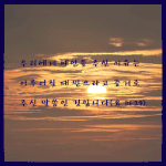[꼭봐주세요] 이슈의 중심! 궁금한 신천지!