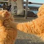 [댓글부탁해] 이번년도 중3중에 <b>전학</b>가는애 없냐??