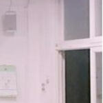 [드루와] 우리학교 문도 나무면 좋겠다....