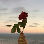 졸라 귀여워ㅜㅜ