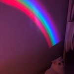 아이돌 생일 <b>해시</b>태그 있잖아