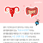 ㅅㄹ중에 설ㅅ 하는 사람있냐