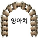 [댓글부탁해] 고닥교 첫날에 <b>야자</b>함?