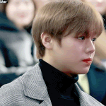 [워너원] 이제 박지훈 선배님이다....