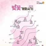 다이소에서 5만원씀