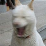 나처럼 영어<b>풀</b><b>때</b> 몸에서 거부하는사람있음???