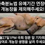 동물보호권의 총단합과 총궐기를 호소합니다~!!