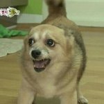 <b>씨스타</b> 노래 하나하나 다 개추억이다