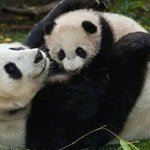 ㅆㅂㅅㅂㅅ 충전기 다 <b>고장</b>남