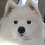 [드루와] <b>T월드</b> 광고 개웃기넼ㅋㅋㅋ