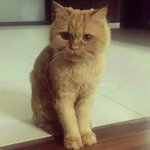 <b>빅뱅무대</b>있잖아