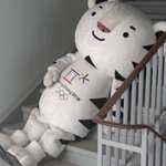 [댓글부탁해] 나 화장품 처음 사는데 아무거나 <b>사면</b>