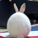 [드루와] <b>언니</b>있으면 좋겠어 아님 <b>오빠</b>있으면 좋겠어?