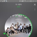 [세븐틴] ㅅㄷ) 멤버들 일화?말해보자
