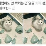 웹툰 <b>랜덤</b>채팅의 그녀 개재밌네