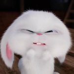 <b>동아리</b> 나오고 어디 들어가지??  하는데 짝남이 바로 자기 <b>동아리</b>...