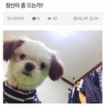 너넨 판 게<b>시물</b> 어떻게 보냥