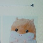 [드루와] <b>방석</b>재고가 베이지밖에 없대...