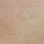 얘들아 털이 막 <b>돌돌</b> 말려있는데