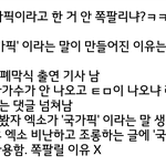 [EXO] 국가<b>픽</b> 워딩 <b>조롱</b>하는 애들한테 이거