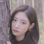 <b>채연</b>언니보구 화풀오