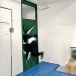 [아라시] 입덕한지 얼마 안됀 <b>람</b>덕 구제 좀ㅠㅠ