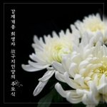 억울하게 죽어간 청년의 유언입니다.  강제개종금지법 제정과 서명을...