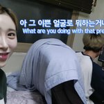 [드루와] 유튜브에서 이 커플 보는 사람?