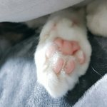 자기가 <b>쿨</b>톤인지 <b>웜</b>톤인지 어떻게 알아...?