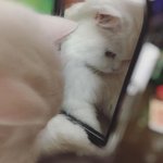 나 진짜로 너무 <b>한심</b>해...