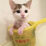 [댓글부탁해] 너네 반<b>배정</b> 어케됨