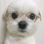 [댓글부탁해] 자존감 높아지는 <b>꿀팁</b>같은거 있어?