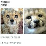 [NCT] 마크 볼때마다 신기한게