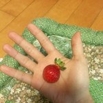 [ㅋㅋㅋㅋㅋ] 딸기 조카<b>기여</b>워