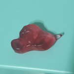 왜 <b>하리보</b>에 천사가있냐