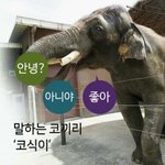 [댓글부탁해] 나 작년에 반<b>배정</b> 개죶망이엿슴