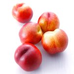 [강다니엘] 소녀,문안드립니다