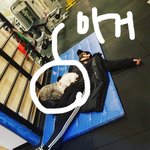 [EXO] 야 이거 강아지 맞지?