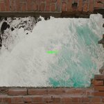 [NCT] 이거봐....윈윈이는 드림이들을 봤었음