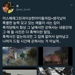 [NCT] 정리하면 이거네..충격이다