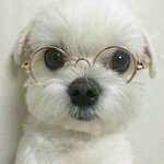 학교갈때 머리 어떻게 하고가지ㅣ