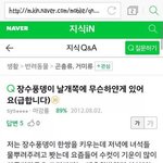 [드루와] ㅅㅂ니네이거봤냐<b>장수</b>풍뎅이 고춬ㅋㅋㅋㅋ