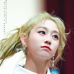 얘가 <b>눈크기</b>로는 원탑일 듯