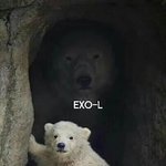 [EXO] 엓 어떤 누구도 <b>소유</b> 불가능