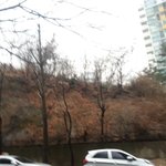 새벽공기 <b>조지</b>네