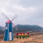 <b>산책</b>나왔당