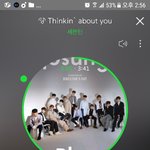 [세븐틴] ㅅㄷ 근데 나 진짜 <b>소나무</b>취향인듯