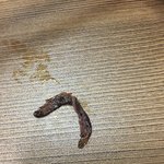 혐주의))<b>동원</b>참치에서 굼뱅이 같은게 나옴 뭐임???;;;